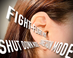 The Ear as a Polyvagal Portal: Neuro-auricular modulation in consideration of 3 developmental response systems