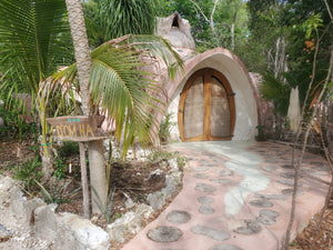 Image Title Immersive VAS Pulse Assessment + 2 days of Exploring - Tulum, Mexico Feb 23-Mar 2, 2025
