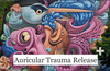 Auricular Trauma Release - Plus! The VAS Edition - Live Online - Dec 12, 2024 Auricular Trauma Release - Plus! The VAS Edition - Live Online - Dec 12, 2024