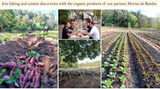 Level 3 Master Methods Retreat in Portugal ~ July 9 - 15, 2025 ~ 6-Night Stay All-Inclusive Level 3 Master Methods Retreat in Portugal ~ July 9 - 15, 2025 ~ 6-Night Stay All-Inclusive