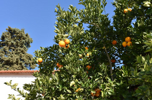 Image Title Level 3 Master Methods Retreat in Portugal ~ July 9 - 15, 2025 ~ 6-Night Stay All-Inclusive