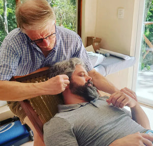 Image Title Experience Auricular Medicine and VAS Confidence Building Workshop