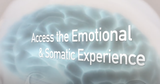 How to Access the Somatic & Emotional Experience How to Access the Somatic & Emotional Experience