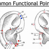Ear Wall Chart of Common Functional Points
