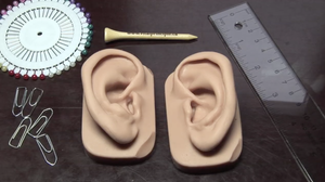 Ear Point Guide (Apr 04 2023 - Apr 04 2024)
