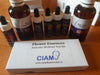 Auricular Kit: Trauma Frequencies - pre order, currently out of stock