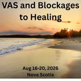 5-Day VAS Pulse & Blockages to Healing Course – Small Group Intensive in Nova Scotia