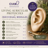 Living Auricular Protocols: Individual Clinical Modules