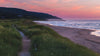 5-Day VAS Pulse & Blockages to Healing Course – Small Group Intensive in Nova Scotia