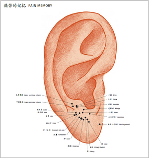 Digital Clinical Companion Booklet