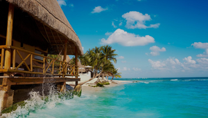 5-Day VAS Pulse & Blockages to Healing Course – Small Group Intensive