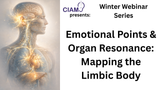 Winter Webinar Series: Emotional Points & Organ Resonance: Mapping the Limbic Body