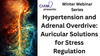 Winter Webinar Series: Hypertension and Adrenal Overdrive - Auricular Solutions for Stress Regulation