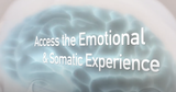 How to Access the Somatic & Emotional Experience