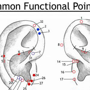 Ear Wall Chart of Common Functional Points