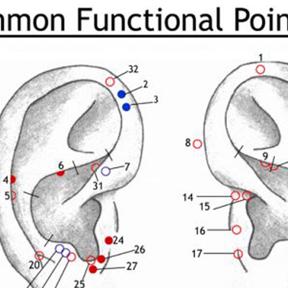 Ear Root Point Ear Charts – Canadian Institute of Auricular Medicine